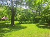 Satılır  torpaq 60 sot, photo 5 from 8