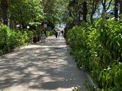 Satılır 2 otaqlı köhnə tikili 50 m², Gənclik m., photo 8 from 8