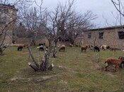 Satılır  torpaq 22 sot, Novxanı q., photo 5 from 8