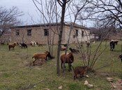 Satılır  torpaq 22 sot, Novxanı q., photo 7 from 8