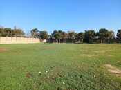 Объявление №5973971 - Баку, пос. Бузовна, 50 сот