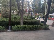 Сдаётся  объект 580 м², м. Сахил, photo 7 from 8