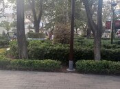 Сдаётся  объект 580 м², м. Сахил, photo 6 from 8