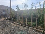 Satılır  obyekt 300 m², Masazır q., photo 3 from 8