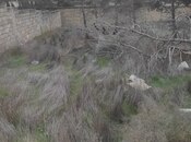 Продаётся  участок 6 сот, Низаминский  р., photo 4 from 6