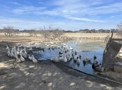 Satılır  torpaq 450 sot, Ramana q., photo 8 from 8