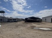 Satılır  torpaq 450 sot, Ramana q., photo 5 from 8