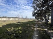 Elan №5974910 - Bakı, Ramana q., 450 sot