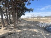 Satılır  torpaq 450 sot, Ramana q., photo 6 from 8