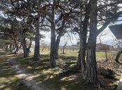 Satılır  torpaq 450 sot, Ramana q., photo 2 from 8