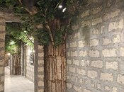 İcarəyə verilir 9 otaqlı ofis 412 m², Sahil m., photo 6 from 8