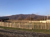 Объявление №5975079 - Загатала, Загатала, 13.5 сот