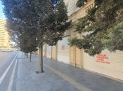 Продаётся 12-комн. дом/дача 900 м², м. Автовокзал, photo 3 from 8