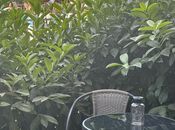 Продаётся 2-комн. новостройка 62 м², пос. Нардаран, photo 6 from 8