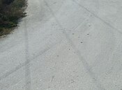 Satılır  torpaq 6 sot, Zirə q., photo 3 from 8