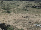 Satılır  torpaq 6 sot, Zirə q., photo 6 from 8