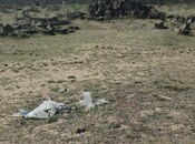 Satılır  torpaq 6 sot, Zirə q., photo 7 from 8