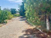 Продаётся  участок 45 сот, пос. Мардакан, photo 4 from 6