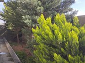 Сдаётся 3-комн. дом/дача 111 м², пос. Говсан, photo 8 from 8