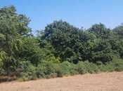 Satılır  torpaq 50 sot, photo 2 from 8