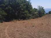 Satılır  torpaq 50 sot, photo 6 from 8