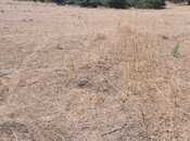 Satılır  torpaq 50 sot, photo 7 from 8