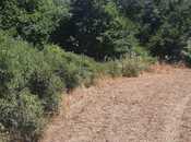 Satılır  torpaq 50 sot, photo 4 from 8