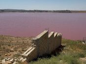 Продаётся  участок 13 сот, пос. Новханы, photo 2 from 7