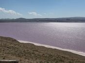 Продаётся  участок 13 сот, пос. Новханы, photo 5 from 7