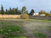 Сдаётся  участок 8 сот, пос. Вишнёвка, photo 4 from 8