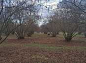 Elan №5879395 - Qax, Qax, 8 otaqlı, 300 m²