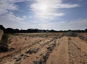 Продаётся  участок 9.6 сот, пос. Шувеляны, photo 7 from 8