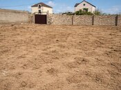 Объявление №5977768 - Баку, пос. Пиршаги, 20 сот