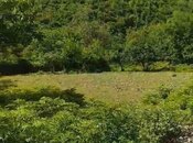 Elan №5977637 - Oğuz, Oğuz, 28 sot