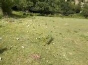 Satılır  torpaq 28 sot, photo 5 from 6