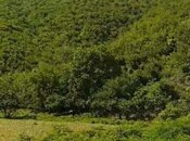 Satılır  torpaq 28 sot, photo 3 from 6