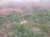 Продаётся  участок 12 сот, пос. Бильгях, photo 5 from 6