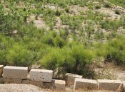 Продаётся  участок 6 сот, пос. Сангачал, photo 5 from 8