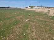 Elan №5978249 - Bakı, Qobu q., 80 sot