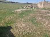 Satılır  torpaq 80 sot, Qobu q., photo 4 from 7