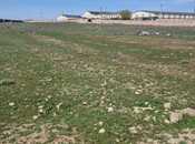 Satılır  torpaq 80 sot, Qobu q., photo 6 from 7