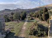 Satılır  torpaq 12 sot, Şıxov q., photo 5 from 7