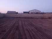 Продаётся  участок 10 сот, пос. Пиршаги, photo 2 from 4