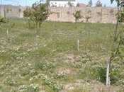 Satılır  torpaq 12 sot, Bilgəh q., photo 6 from 8
