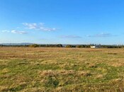 Elan №5979100 - Bakı, Qobu q., 500 sot