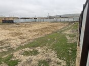 Объявление №5979644 - Ширван, Ширван, 12 сот