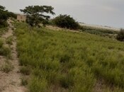 Объявление №5979739 - Баку, Пираллахи р., 20 сот