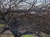 Satılır  torpaq 7 sot, photo 3 from 4