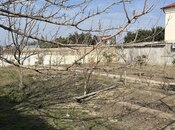 Satılır  torpaq 5 sot, Novxanı q., photo 4 from 6