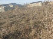 Объявление №5979848 - Баку, пос. Пиршаги, 8 сот